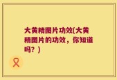 大黄精图片功效(大黄精图片的功效，你知道吗？)