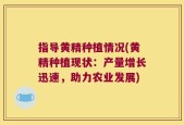 指导黄精种植情况(黄精种植现状：产量增长迅速，助力农业发展)