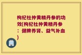 枸杞杜仲黄精丹参的功效(枸杞杜仲黄精丹参：健脾养肾、益气补血)