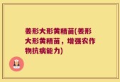 姜形大形黄精苗(姜形大形黄精苗，增强农作物抗病能力)