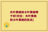 大叶黄精和小叶黄精哪个好(对比：大叶黄精和小叶黄精的优劣)
