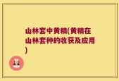 山林套中黄精(黄精在山林套种的收获及应用)