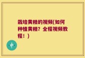 栽培黄精的视频(如何种植黄精？全程视频教程！)