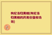 枸杞当归黄精(枸杞当归黄精的药用价值和功效)