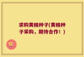 求购黄精种子(黄精种子采购，期待合作！)