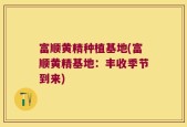 富顺黄精种植基地(富顺黄精基地：丰收季节到来)