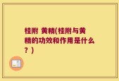 桂附 黄精(桂附与黄精的功效和作用是什么？)