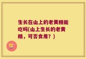 生长在山上的老黄精能吃吗(山上生长的老黄精，可否食用？)