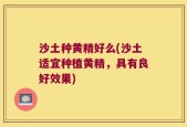 沙土种黄精好么(沙土适宜种植黄精，具有良好效果)