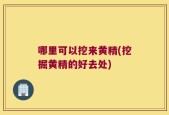 哪里可以挖来黄精(挖掘黄精的好去处)