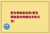 原生黄精苗培育(原生黄精苗的种植技术和方法)