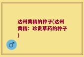达州黄精的种子(达州黄精：珍贵草药的种子)