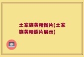 土家族黄精图片(土家族黄精照片展示)