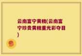 云南富宁黄精(云南富宁珍贵黄精重光彩夺目)