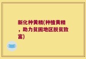 新化种黄精(种植黄精，助力贫困地区脱贫致富)