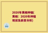 2020年黄精种植(黄精：2020年种植现状及前景分析)