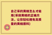 自己采的黄精怎么才能用(采摘黄精的正确方法，让你轻松拥有高质量的黄精原料)