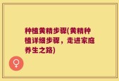 种植黄精步骤(黄精种植详细步骤，走进家庭养生之路)