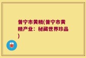 普宁市黄精(普宁市黄精产业：秘藏世界珍品)