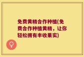免费黄精合作种植(免费合作种植黄精，让你轻松拥有丰收果实)