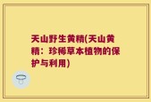 天山野生黄精(天山黄精：珍稀草本植物的保护与利用)