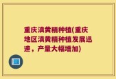 重庆滇黄精种植(重庆地区滇黄精种植发展迅速，产量大幅增加)