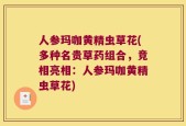 人参玛咖黄精虫草花(多种名贵草药组合，竞相亮相：人参玛咖黄精虫草花)