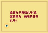桑葚丸子黄精丸子(桑葚黄精丸：美味的营养丸子)