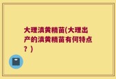 大理滇黄精苗(大理出产的滇黄精苗有何特点？)
