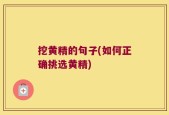 挖黄精的句子(如何正确挑选黄精)