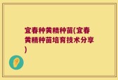宜春种黄精种苗(宜春黄精种苗培育技术分享)