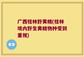 广西桂林野黄精(桂林境内野生黄精物种受到重视)