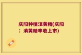 庆阳种植滇黄精(庆阳：滇黄精丰收上市)