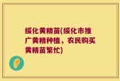 绥化黄精苗(绥化市推广黄精种植，农民购买黄精苗繁忙)