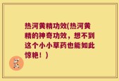 热河黄精功效(热河黄精的神奇功效，想不到这个小小草药也能如此惊艳！)