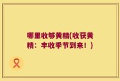 哪里收够黄精(收获黄精：丰收季节到来！)