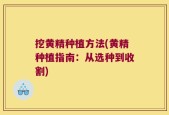 挖黄精种植方法(黄精种植指南：从选种到收割)