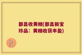 都昌收黄精(都昌新宝珍品：黄精收获丰盈)