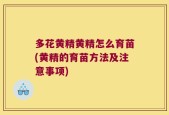 多花黄精黄精怎么育苗(黄精的育苗方法及注意事项)