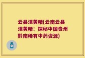 云县滇黄精(云南云县滇黄精：探秘中国贵州黔南稀有中药资源)