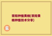 崇阳种植黄精(崇阳黄精种植技术分享)