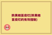 防黄精苗腐烂(防黄精苗腐烂的有效措施)