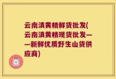 云南滇黄精鲜货批发(云南滇黄精现货批发——新鲜优质野生山货供应商)
