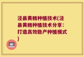 泾县黄精种植技术(泾县黄精种植技术分享：打造高效稳产种植模式)