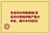 安岳农村种植黄精(安岳农村黄精种植产量大丰收，振兴乡村经济)