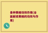 各种黄精功效作用(全面解读黄精的功效与作用)
