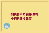 制黄精中药彩图(黄精中药的图片展示)