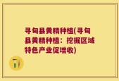 寻甸县黄精种植(寻甸县黄精种植：挖掘区域特色产业促增收)