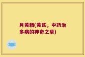 月黄精(黄芪，中药治多病的神奇之草)