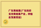 广东黄精果(广东政府支持黄精果产业，种植业发展受益)